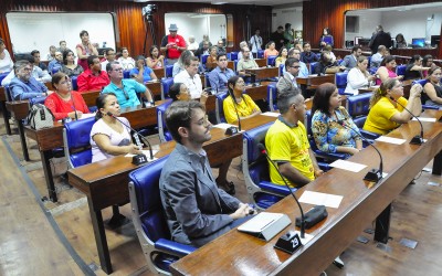 06.08.15 - Audiência sobre área metropolitana - ©nyll pereira (9) cópia