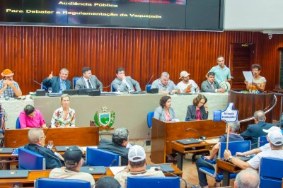11102016 - Audiência Pública sobre Vaqueijada - ©nyll pereira - _DSC1045