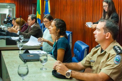 22112016 - Audiência Pública sobre violência contra a mulher - ©nyll pereira - 1 - _DSC1238