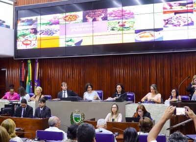 23-10 - Audiência sobre segurança alimentar - ©2017 nyll pereira-01