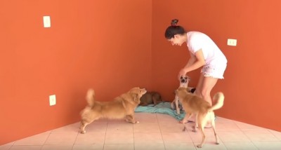 S4em título