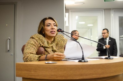 270319 - Sessão Ordinária - ©nyll pereira - 15
