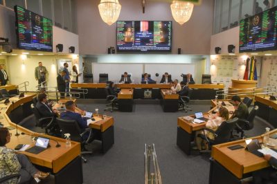 ALPB aprova projeto de incentivo ao empreendedorismo para mães de autistas