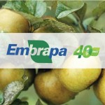 Sessão especial na ALPB comemora os 40 anos de atuação da Embrapa