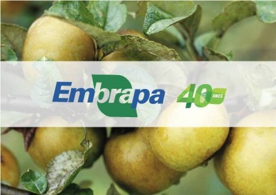 Sessão especial na ALPB comemora os 40 anos de atuação da Embrapa