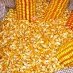 ALPB forma comissão para reverter fechamento de postos da Conab