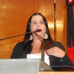 Sessão especial discute participação das mulheres na política