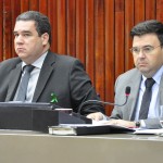 29.04.15 - Audiência sobre a Sìndrome da Alienação Parental - ©nyll pereira (122) cópia