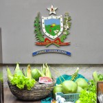24.07.15 - Homenagem aos agricultores na alpb - ©nyll pereira (245) cópia