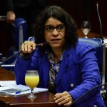 Assembleia Legislativa aprova lei para compra de móveis com madeira de reflorestamento