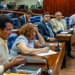 25052016 - Audiência Pública da Comissão de Orçamento - ©nyll pereira - 7