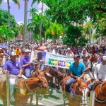 11102016 - Audiência Pública sobre Vaqueijada - ©nyll pereira - _DSC1001