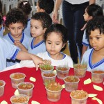 Creche Pré- Escola da Assembleia realiza feira de ciências para conscientização de preservação do meio ambiente
