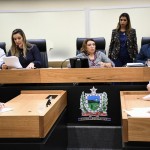 CPI do Feminicídio apresenta relatório de ações de 2019 e 2020
