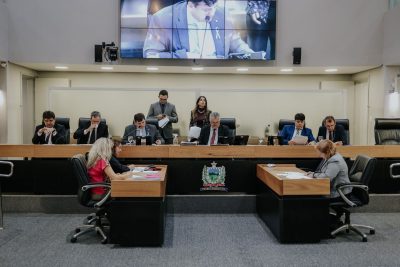 CCJ aprova projeto que oferece acompanhamento psicossocial a mães de autistas