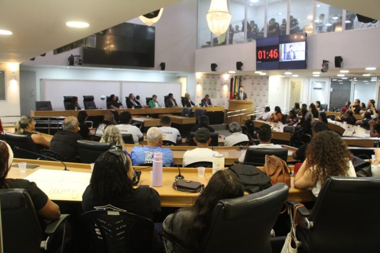 ALPB debate direito ao trabalho do comércio ambulante durante audiência pública